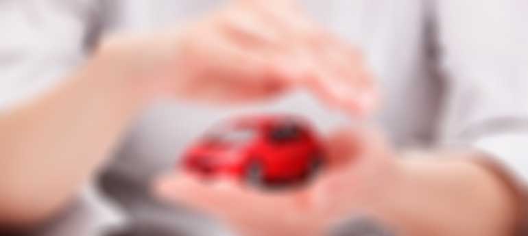 He-Man Dual Controls Information Page Image